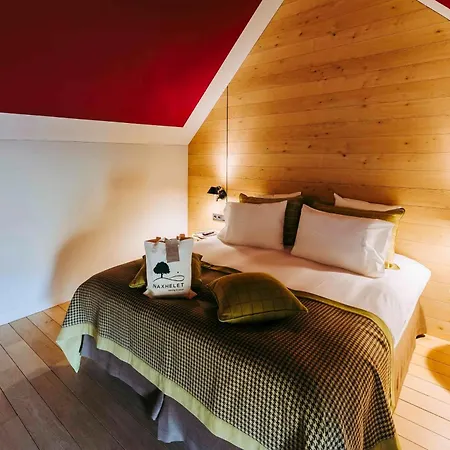 Hotel Domaine De Naxhelet 4*