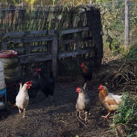 Domaine Des Terres Du Val Hotel 4*