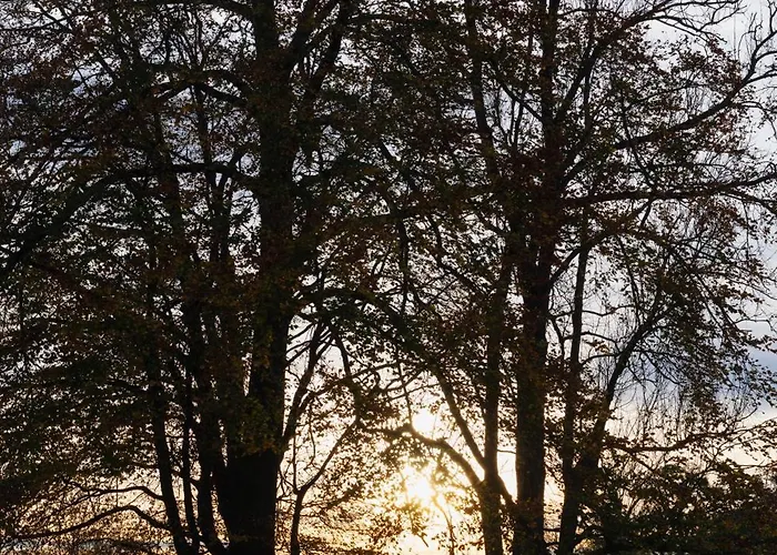 Domaine Des Terres Du Val Wanze